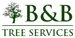 B&B Trees Logo