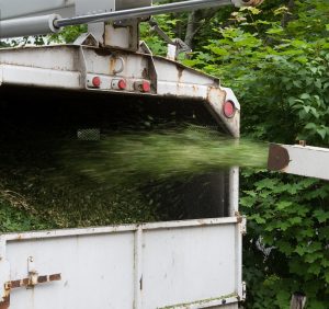 A stump grinder producing mulch onto a container truck.